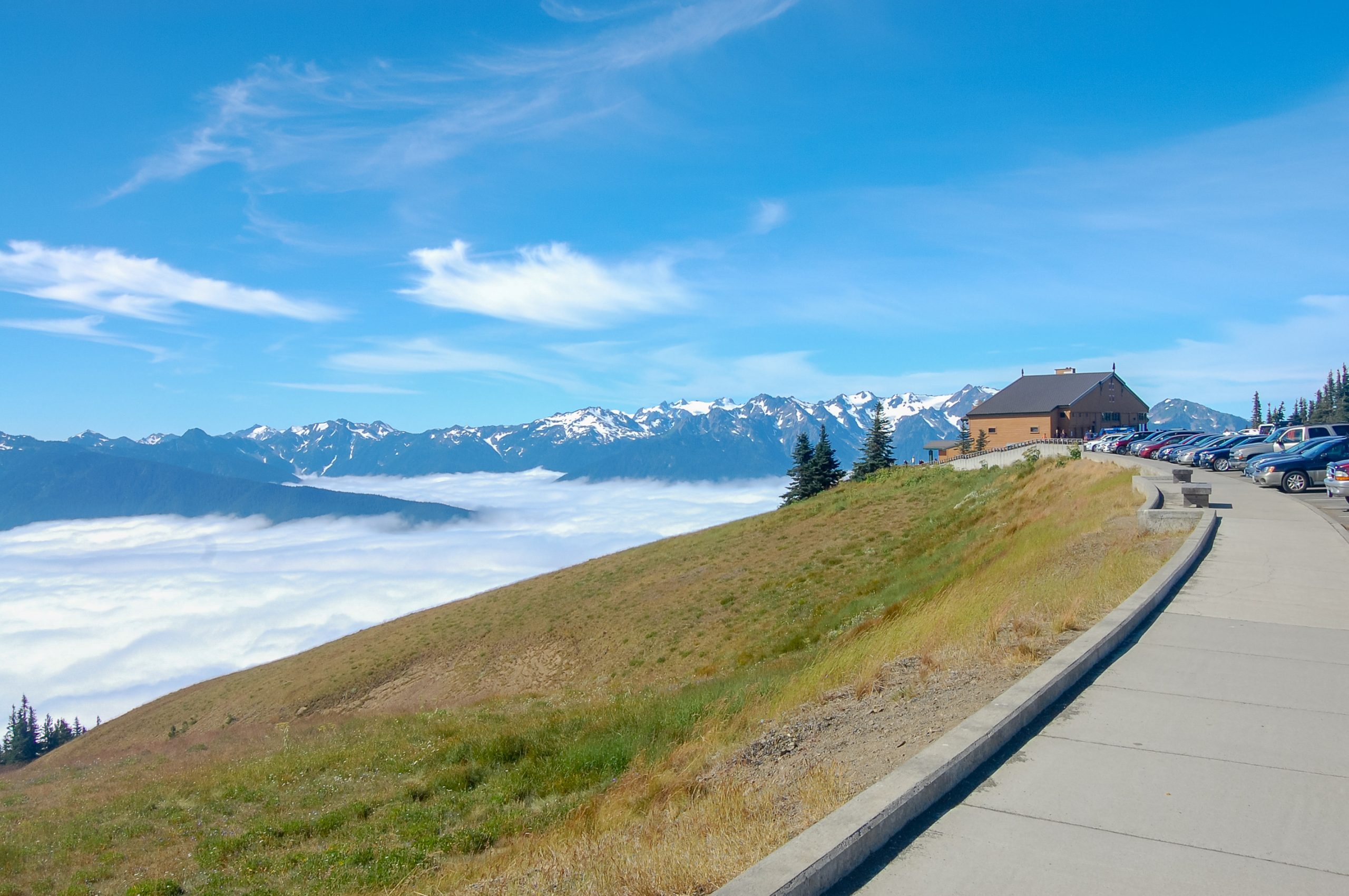 The spectacular Hurricane Ridge is only an hour drive from Discovery Bay.